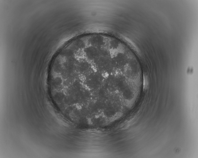 X0000091330627200709071158