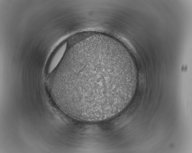 X0000091330628200709071158