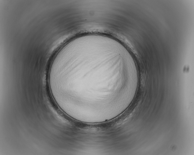 X0000091330629200709071158