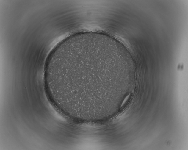 X0000091330630200709071158