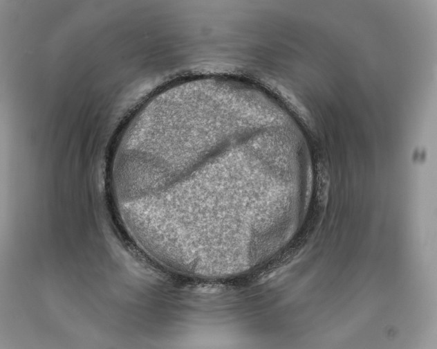 X0000091330631200709071158