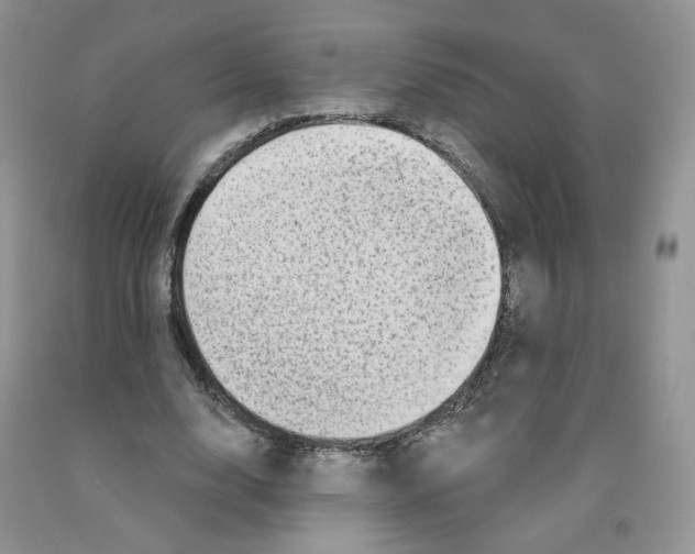 X0000091330632200709071158