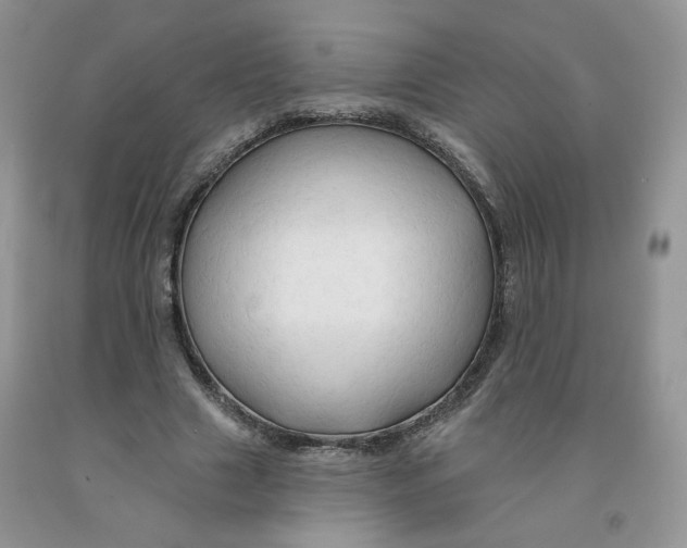 X0000091330633200709071158