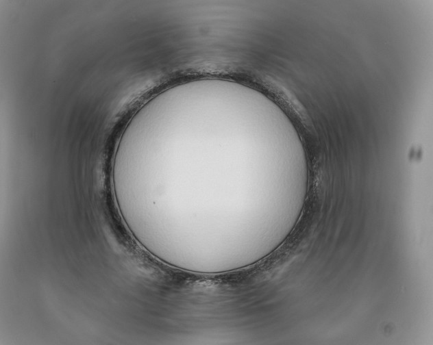 X0000091330635200709071158