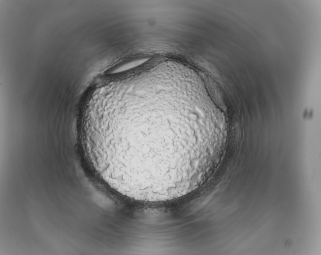X0000091330638200709071158