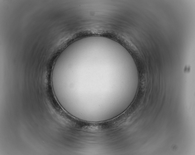 X0000091330639200709071158