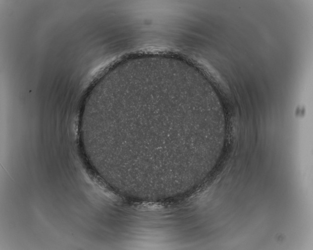X0000091330640200709071158