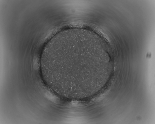 X0000091330641200709071158