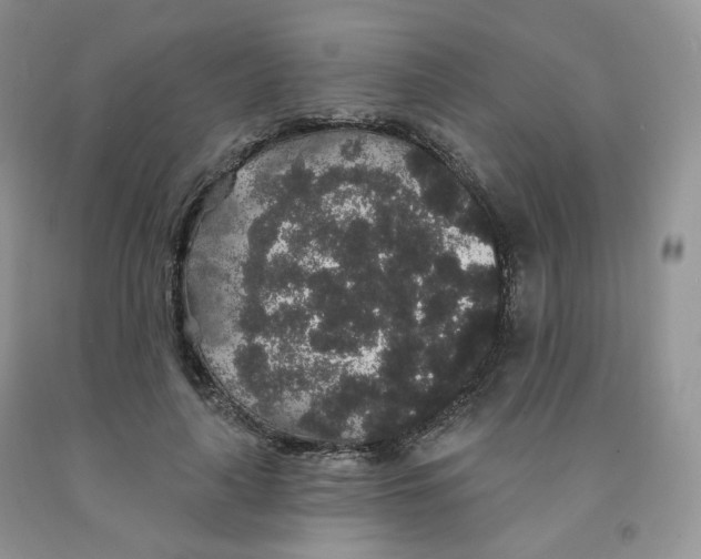 X0000091330643200709071158