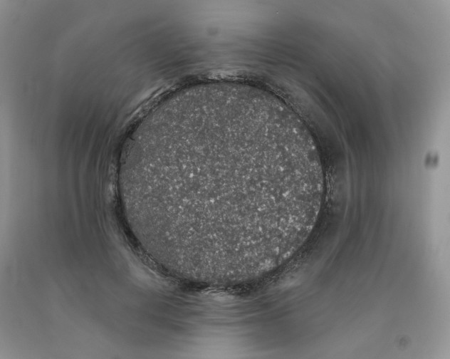 X0000091330648200709071158