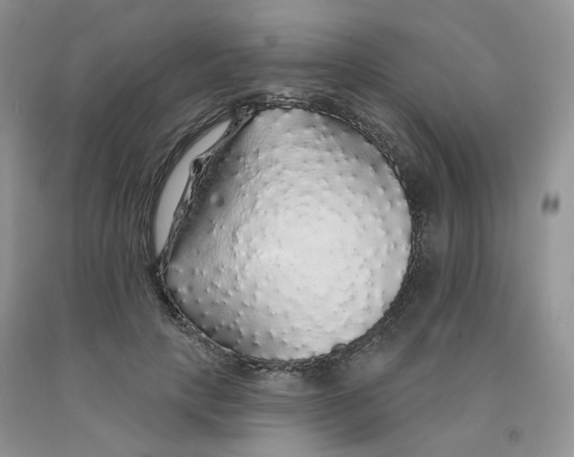 X0000091330649200709071158