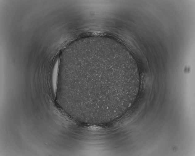 X0000091330650200709071158
