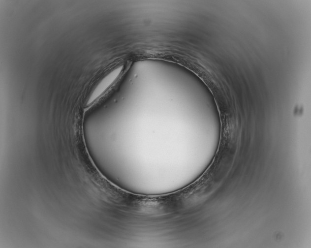 X0000091330651200709071158