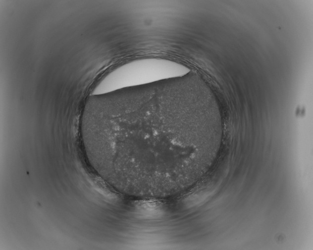 X0000091330652200709071158