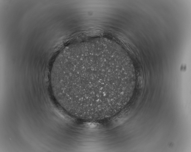 X0000091330654200709071158