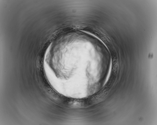 X0000091330655200709071158