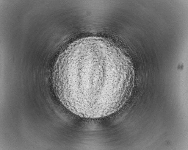X0000091330656200709071158