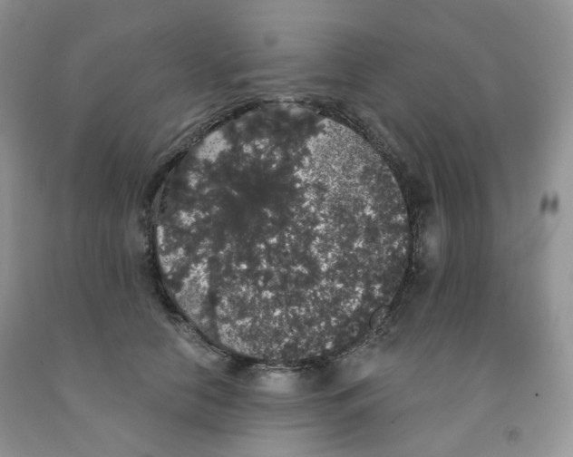 X0000091330658200709071158