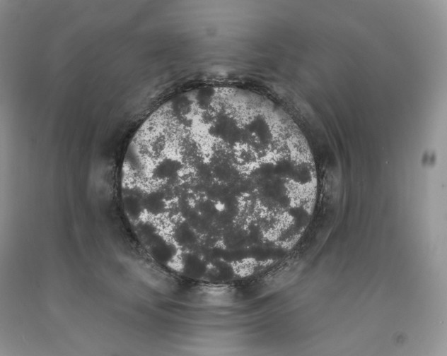 X0000091330659200709071158