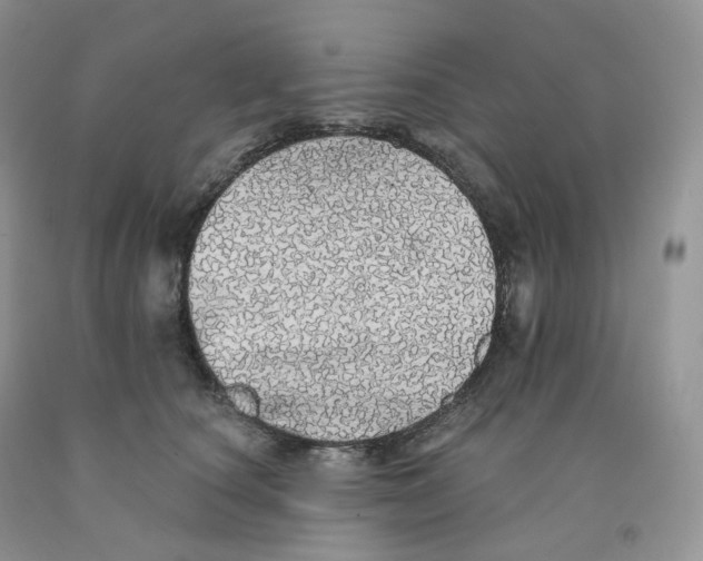 X0000091330660200709071158