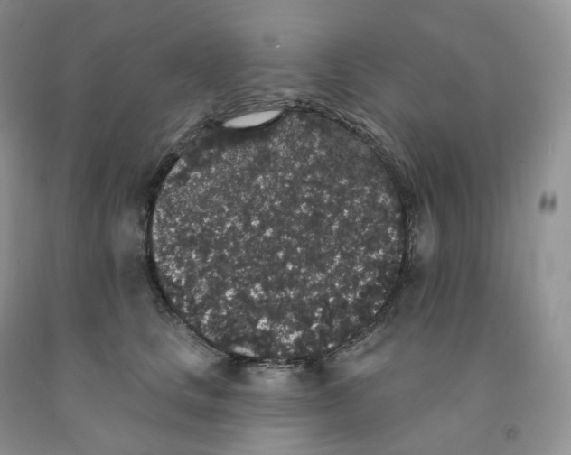 X0000091330661200709071158