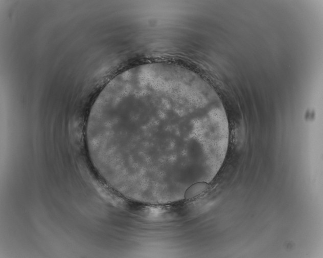 X0000091330662200709071158