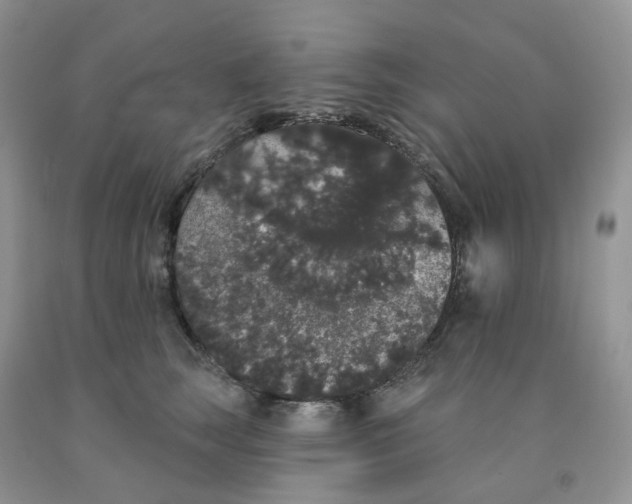 X0000091330663200709071158