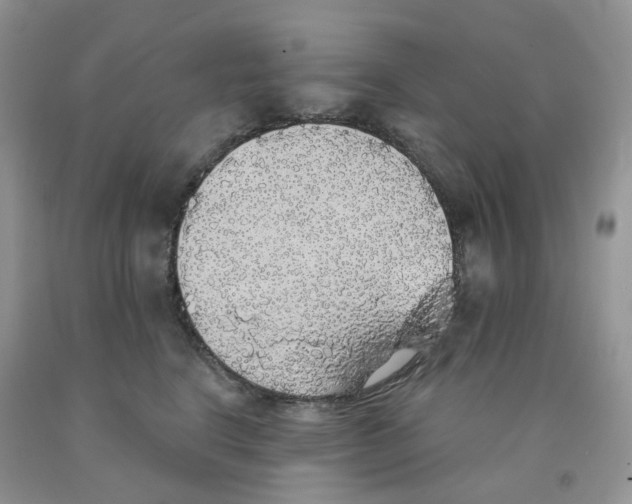 X0000091330664200709071158