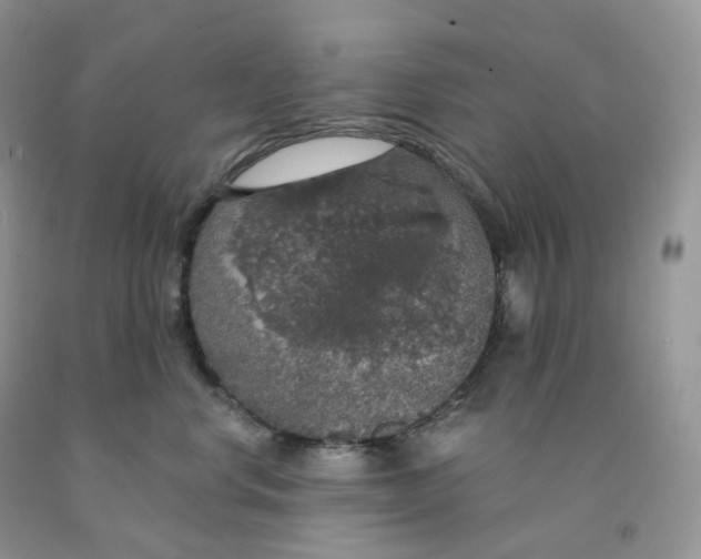 X0000091330668200709071158