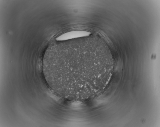 X0000091330669200709071158