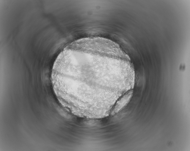 X0000091330670200709071158
