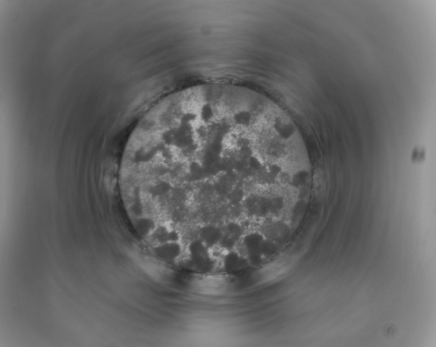 X0000091330671200709071158