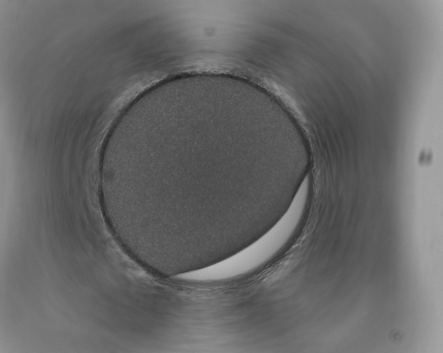 X0000091330673200709071157