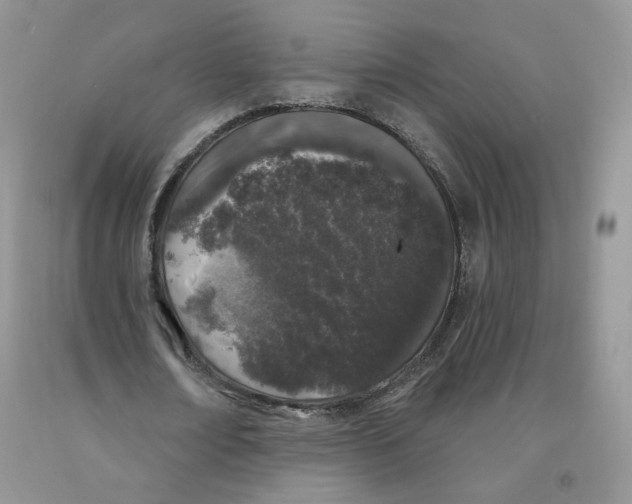 X0000091330674200709071157