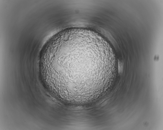 X0000091330675200709071157
