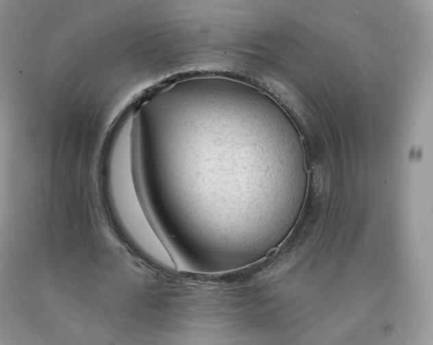 X0000091330676200709071157