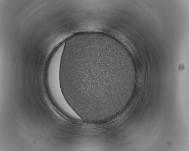 X0000091330677200709071157