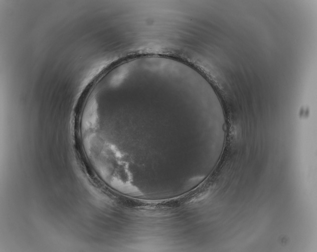 X0000091330678200709071157
