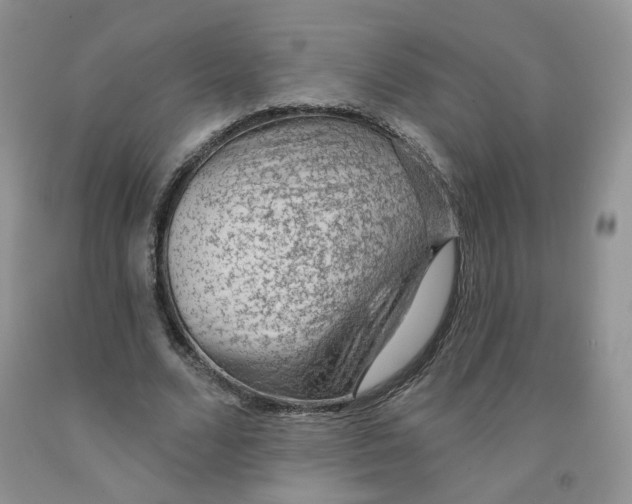 X0000091330680200709071157
