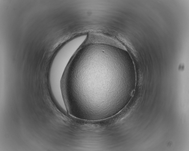 X0000091330681200709071157