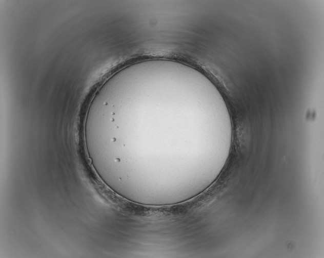 X0000091330682200709071157