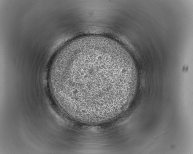 X0000091330683200709071157