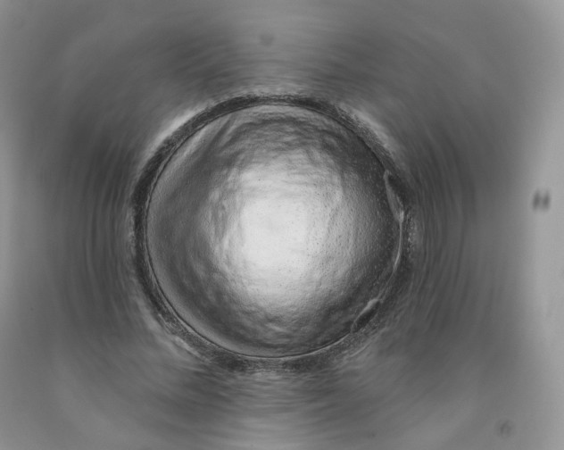 X0000091330684200709071157