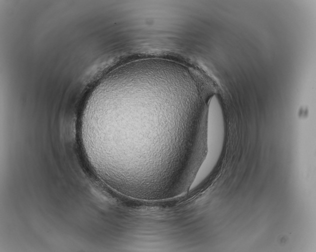 X0000091330685200709071157