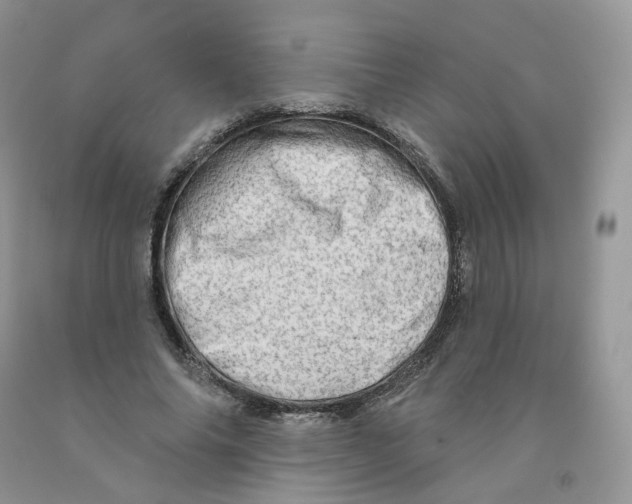 X0000091330686200709071157