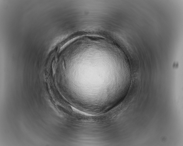 X0000091330688200709071157