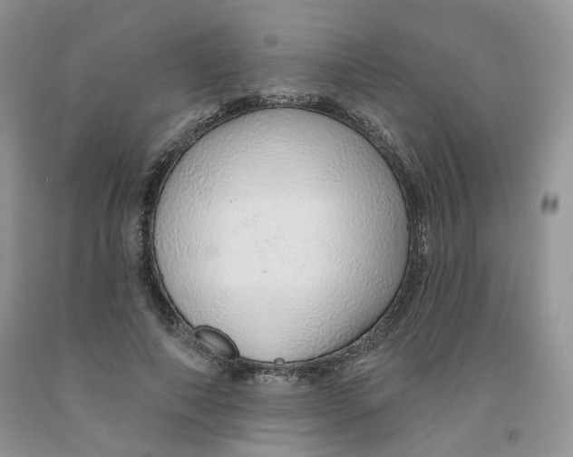 X0000091330690200709071157