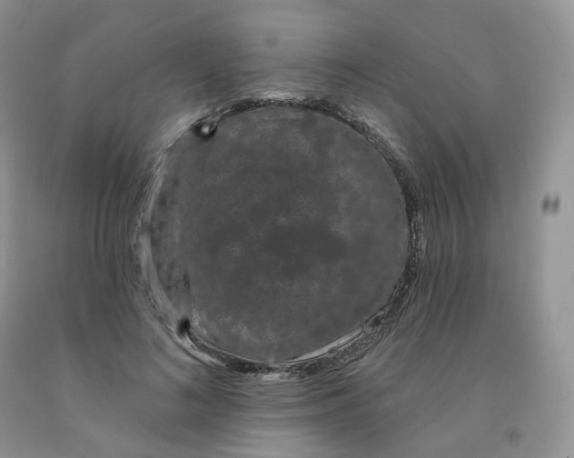 X0000091330692200709071157