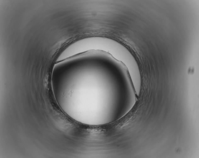 X0000091330693200709071157