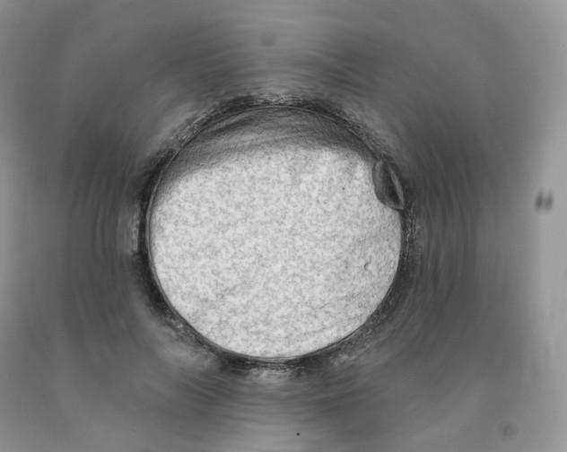 X0000091330694200709071157